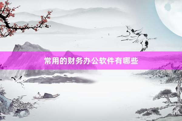 常用的财务办公软件有哪些