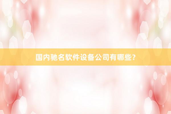 国内驰名软件设备公司有哪些？