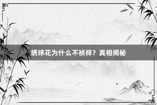 绣球花为什么不祯祥？真相揭秘