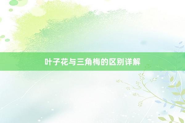 叶子花与三角梅的区别详解